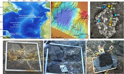 Exploring Environmental DNA (eDNA) to Assess Biodiversity of Hard Substratum Faunal Communities on the Lucky Strike Vent Field (Mid-Atlantic Ridge) and Investigate Recolonization Dynamics After an Induced Disturbance